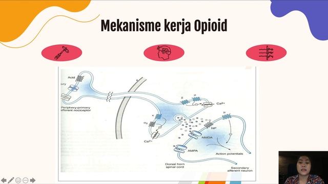 Opioid Pada Manajemen Nyeri смотреть онлайн