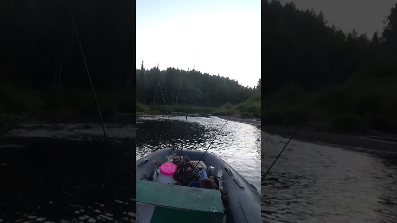 батя указывает фарватер жесть смотреть онлайн