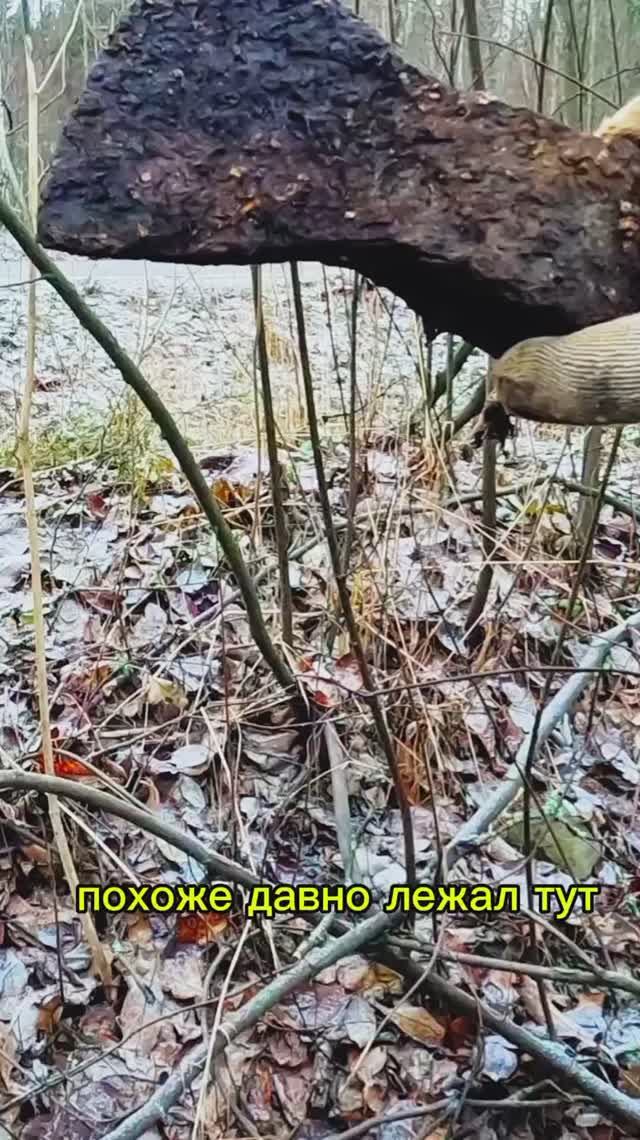 Хорошая находка! смотреть онлайн