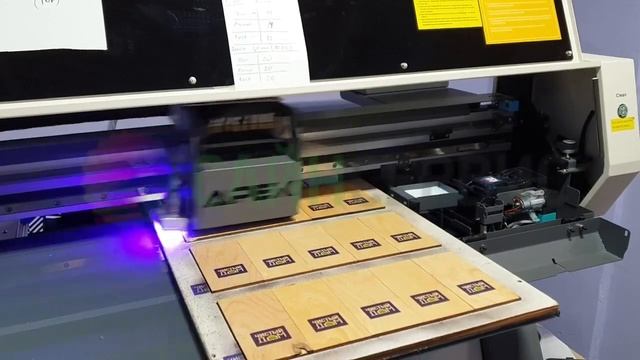 Сувенирный УФ принтер APEX 4060UV DX 5 смотреть онлайн