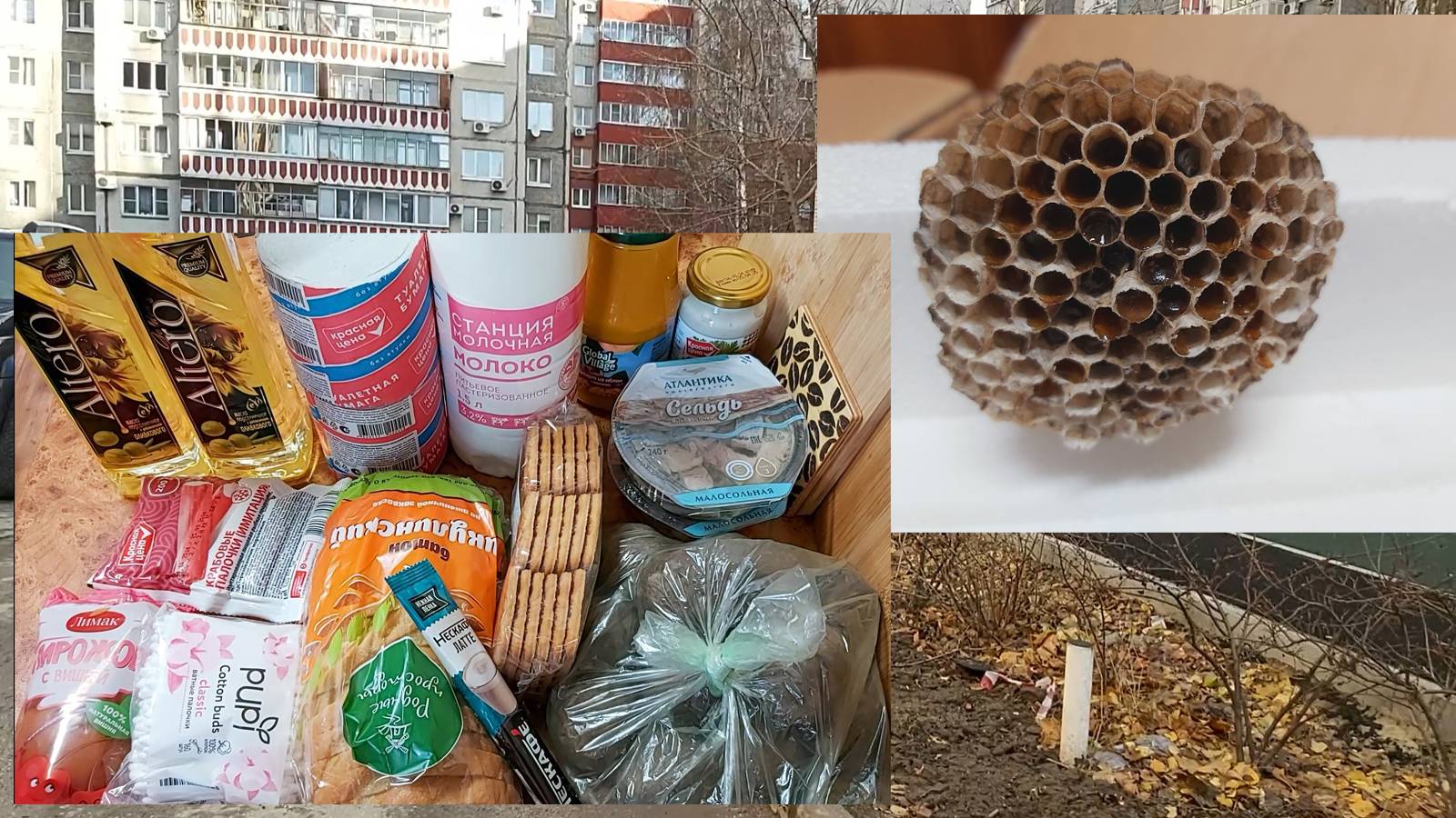 Сюрприз от пчелок на балконе))) Небольшая покупка. Работаю, начальница - зверь!))) смотреть онлайн