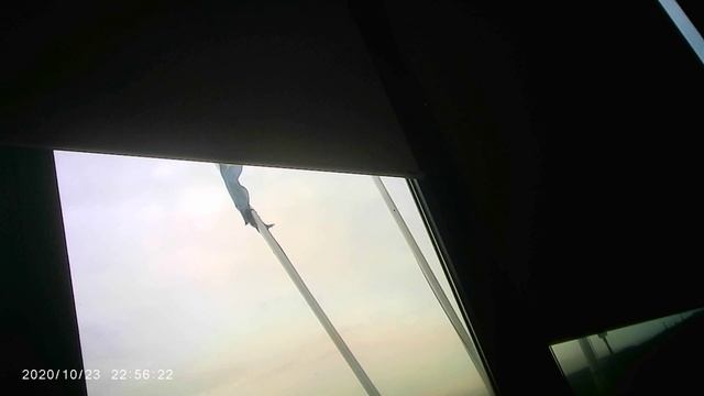 Polizia Avezzano 4 смотреть онлайн