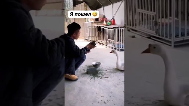 Клип Корпорация Юмора смотреть онлайн