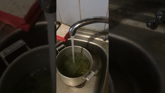 Травят. Зелёная вода из крана Тульская область смотреть онлайн