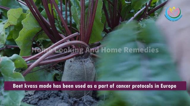 3 Ingredient Powerful Medicinal Tonic You Can Make To Detoxify Your Liver And Kidneys смотреть онлайн
