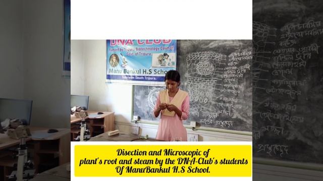 Disection and Microscopic Examination of plant's Root and Steam. смотреть онлайн