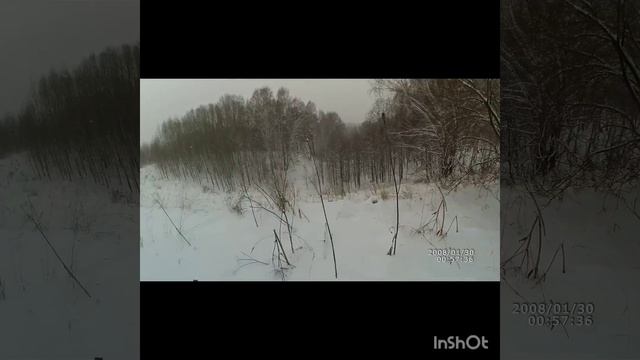 14 декабря 2023 г. смотреть онлайн