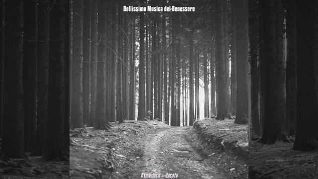 Atmosfera - Natura Pacato смотреть онлайн