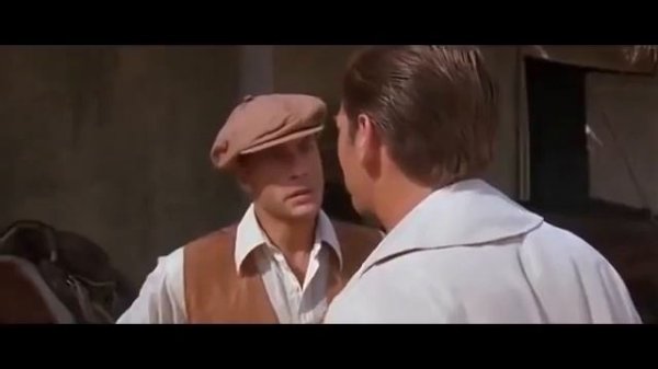 вандам Нови кино