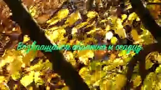 02. Исихия. иером Симон (Безкровный)_144p.mp4