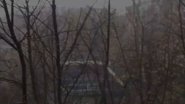 Весна 2020 или прогулка на изоляции смотреть онлайн