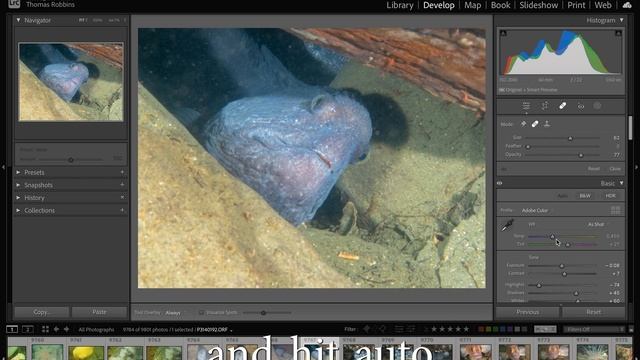 Master Non-Destructive Editing: Lightroom Techniques for Underwater Photographers смотреть онлайн