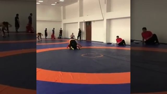 тренировка Гугова с Маховым смотреть онлайн