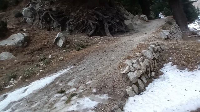 Harshil Bird Photography Tours || Gangotri Tour || Uttarakhand Himalaya Trekking || Bharat Puspwan смотреть онлайн