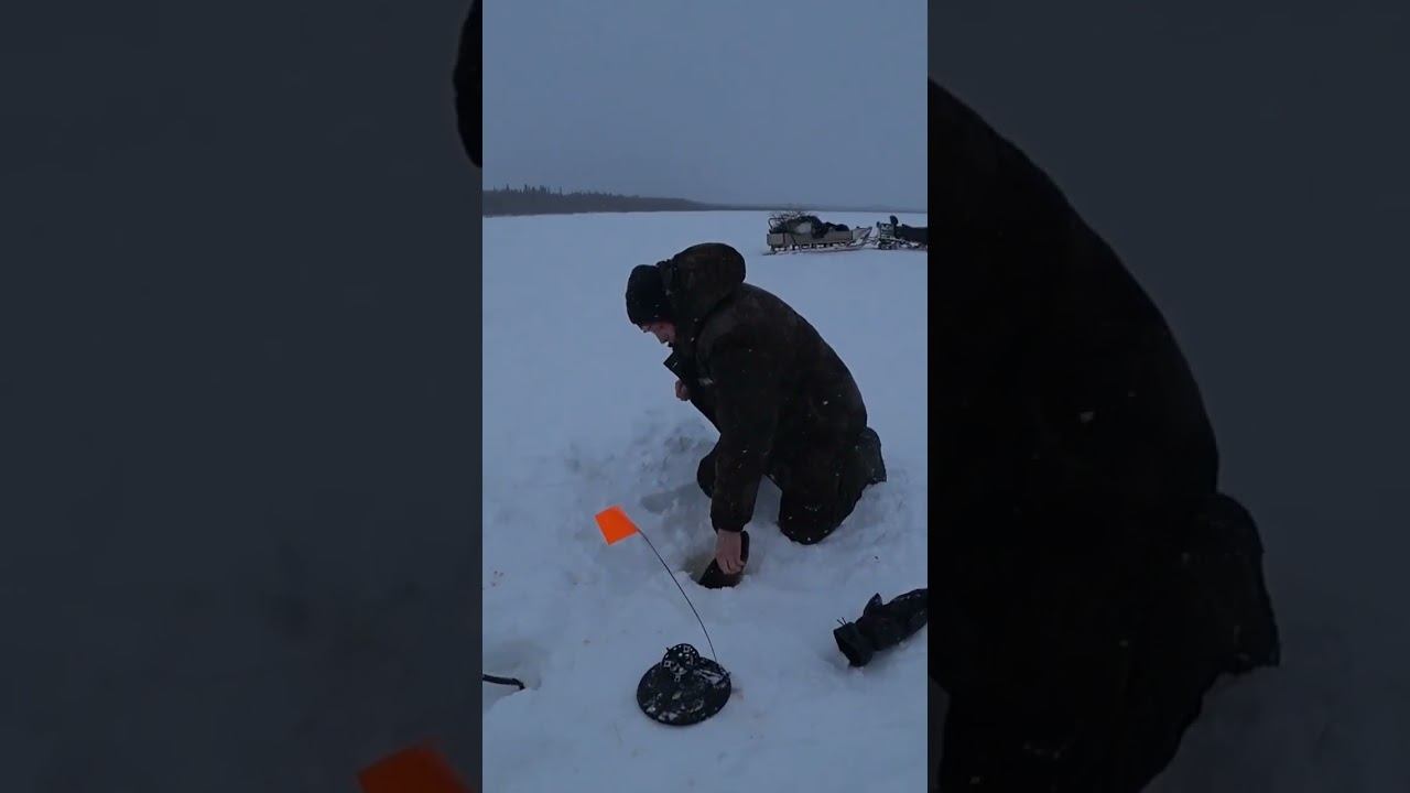 годный размер смотреть онлайн