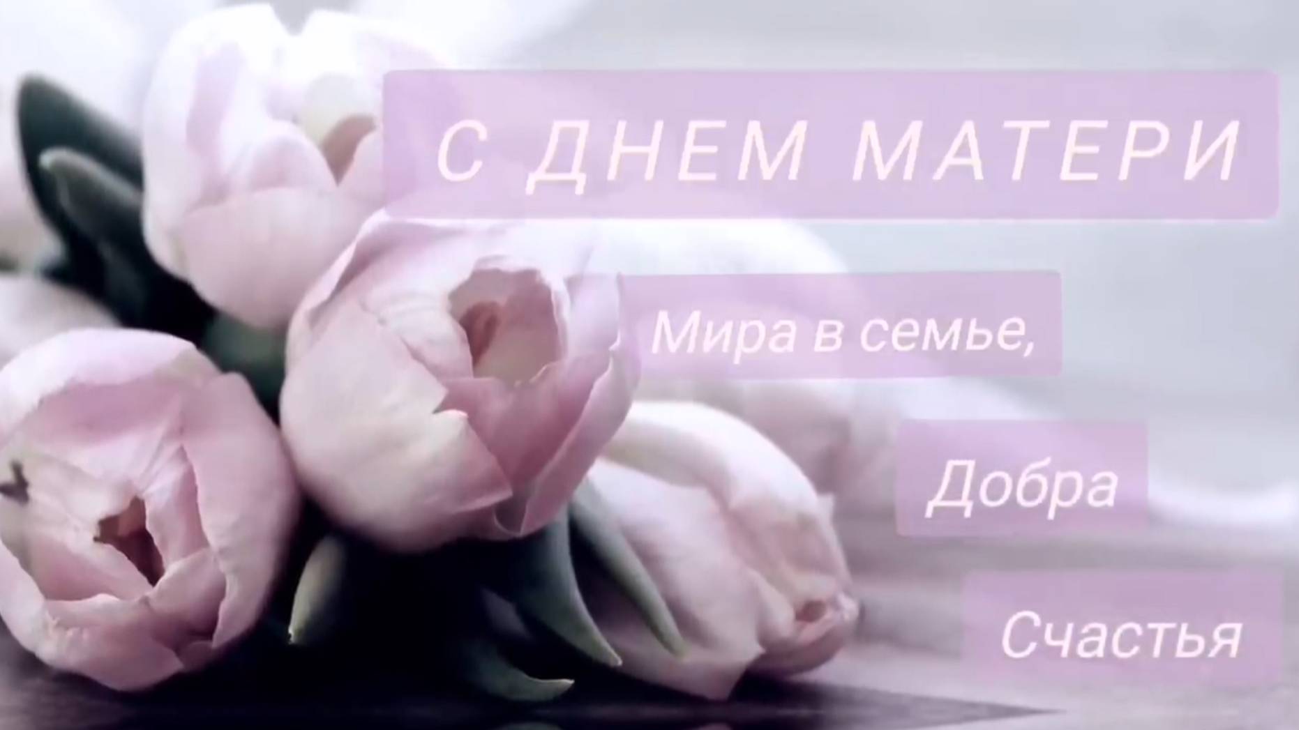 Ролик ко Дню Матери смотреть онлайн