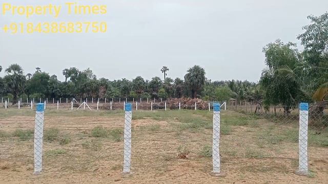 ADS.43 74 Cent Are 59 Cent Farm Land Near Ecr Road#edaikazhinadu #ecr #farmland #land #agriland смотреть онлайн