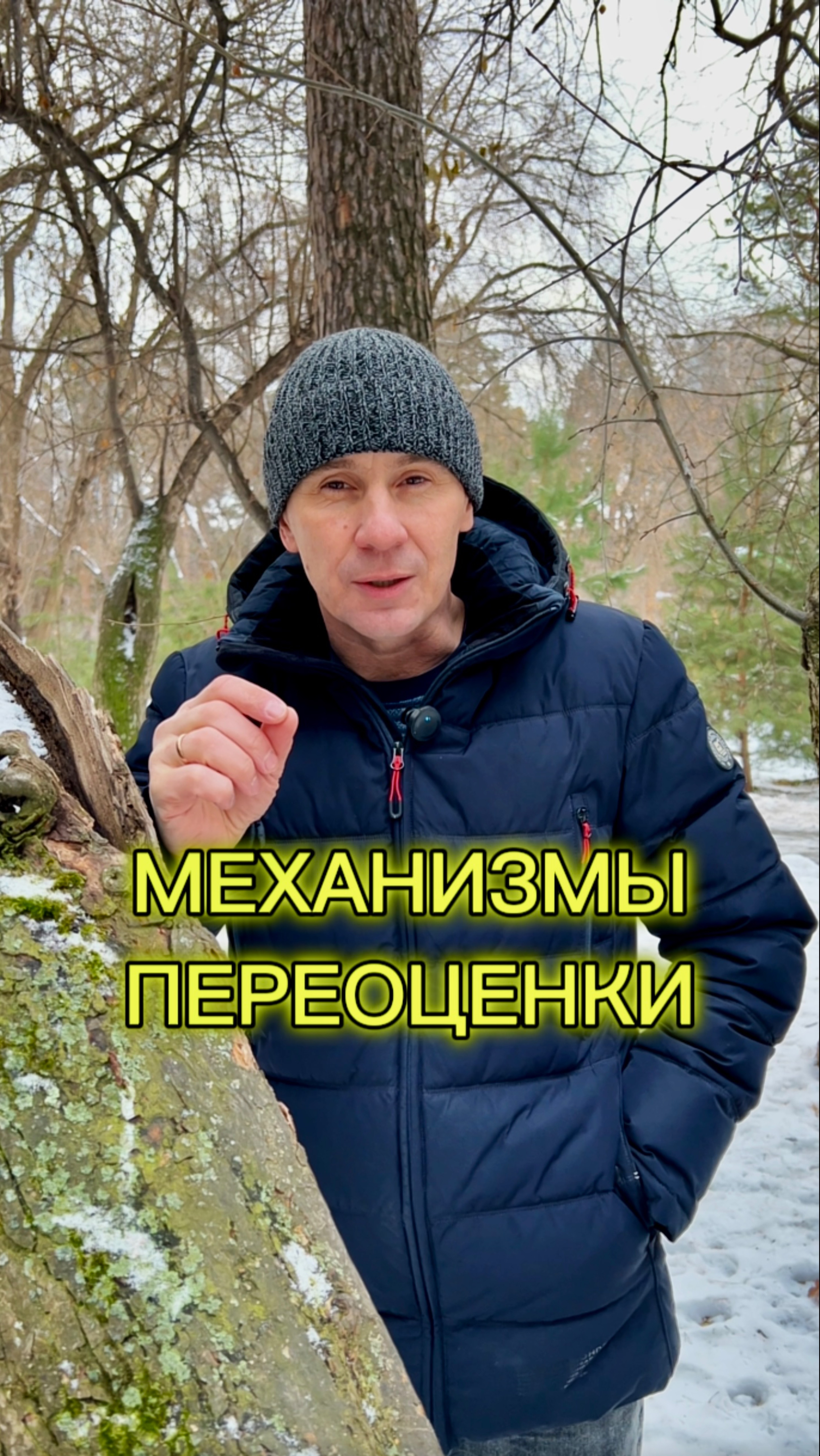 МЕХАНИЗМЫ ПЕРЕОЦЕНКИ