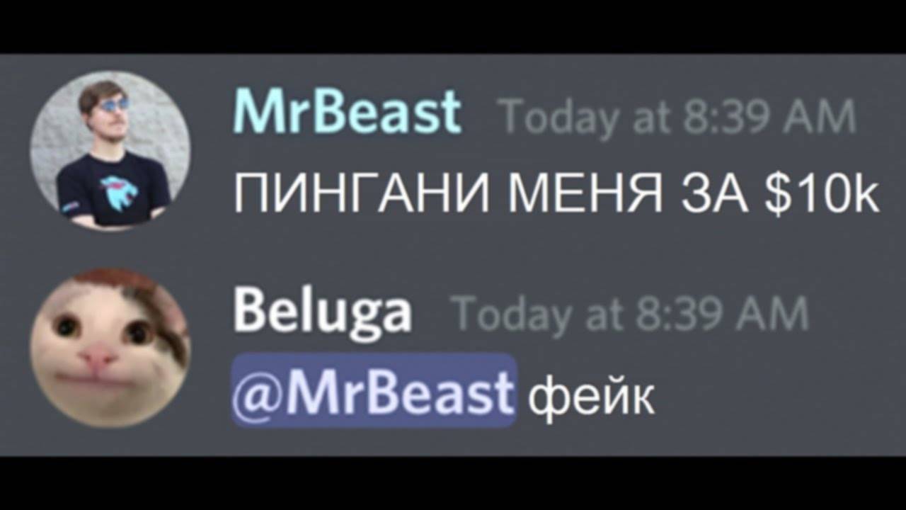 Когда MrBeast Заходит на Твой Сервер...