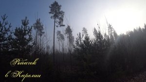 Рыбалка-охота, осень 2024