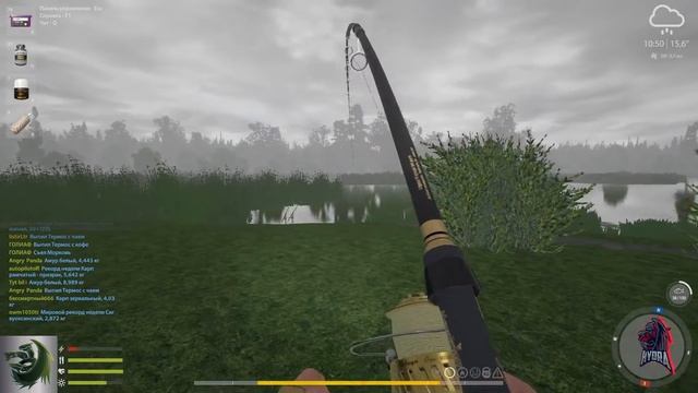 Амур 30,5кг смотреть онлайн