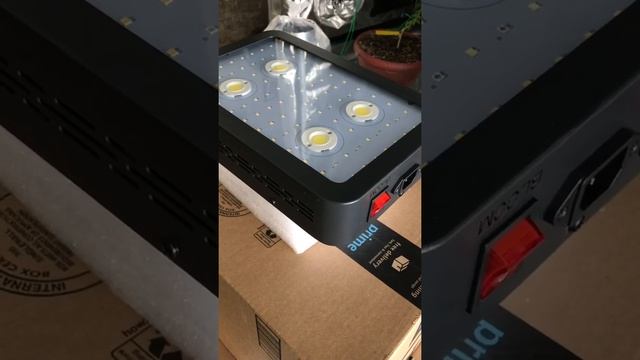 Cheap Amazon grow light смотреть онлайн