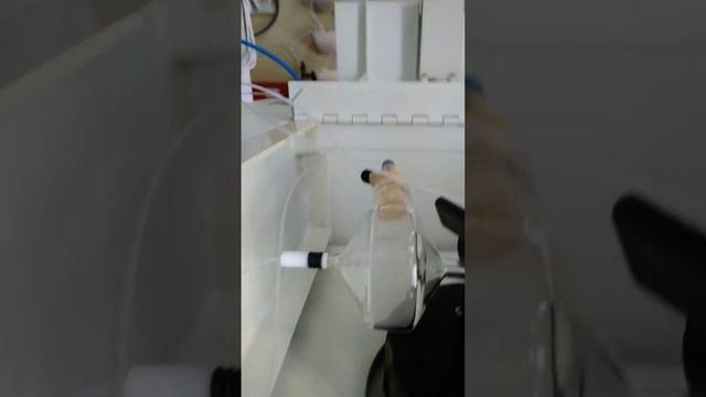 Inductive Coupled Plasma - Optical Emission Spectrometer ( ICP - OES) PERKIN ELMER смотреть онлайн