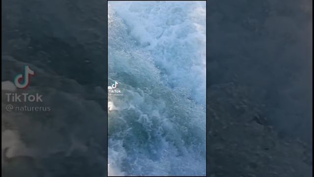 Вода против огонь #вода #огонь смотреть онлайн