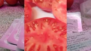 Ранние сорта томатов на сезон 2025. Ранние сорта посаженные в этом сезоне 2024