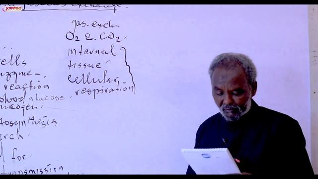 unit 4 Nutrition and respiration смотреть онлайн