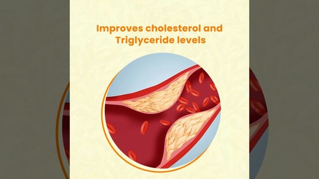 Bye Bye Sugar for Blood Sugar Control. смотреть онлайн