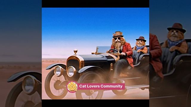 Y2mate.mx-Best Box of the World – Performed by the legendary ZZ Cats! 😸🎸 смотреть онлайн