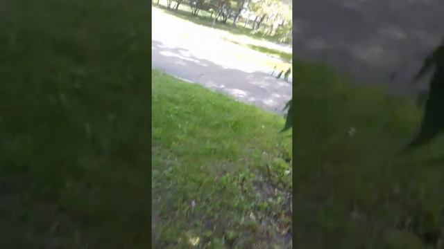 Влог #5 моя старая школа 268 смотреть онлайн
