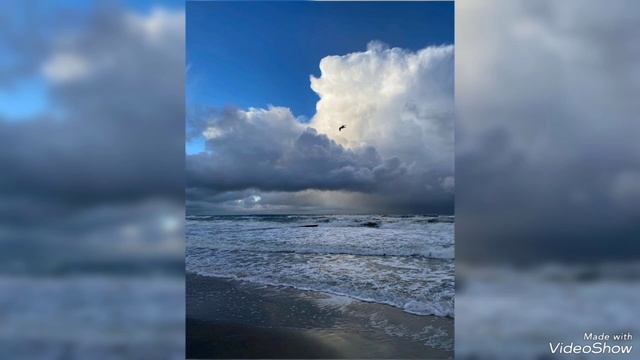 Радуги и янтарь на балтийском побережье 20/11/2024 смотреть онлайн