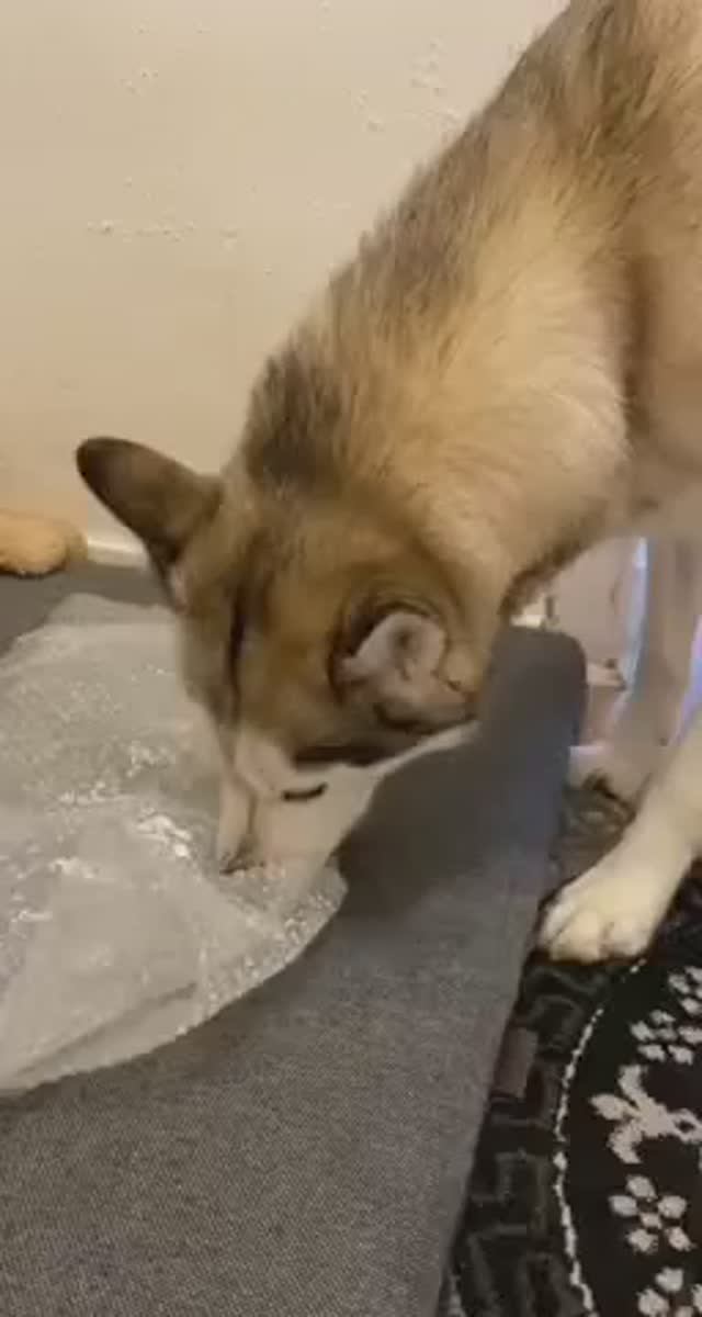 Антистрессовое смотреть онлайн