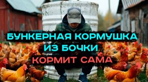 Бункерная кормушка для кур #домуреки #домвдеревне #бункернаякормушка