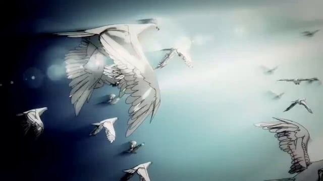 AMV - Distorsion Shiro смотреть онлайн