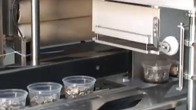 Termoselladora de vacío / atmosfera modificada REECLOSE 250 (© Reepack srl.) смотреть онлайн
