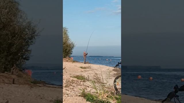 Мощная поклевка, Вываживание .. Эмоции за кадром )) смотреть онлайн