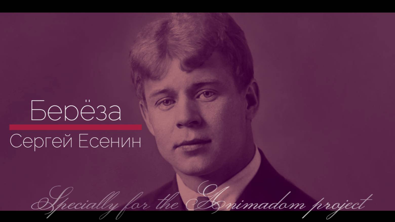 Берёза - Есенин С.А. ‪@animadom‬ | VinAMori ♥️ смотреть онлайн