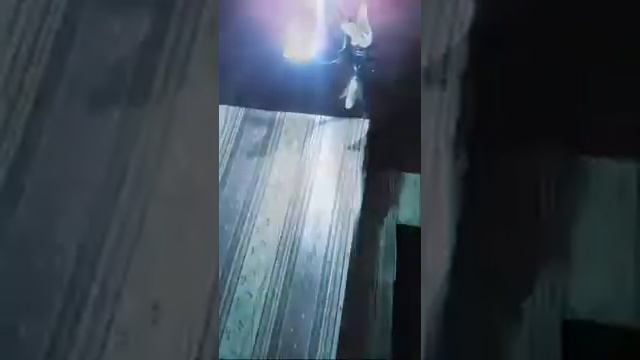 Дж.Арми смотреть онлайн