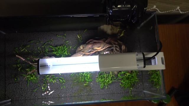 Обзор аквариумов в офисе смотреть онлайн