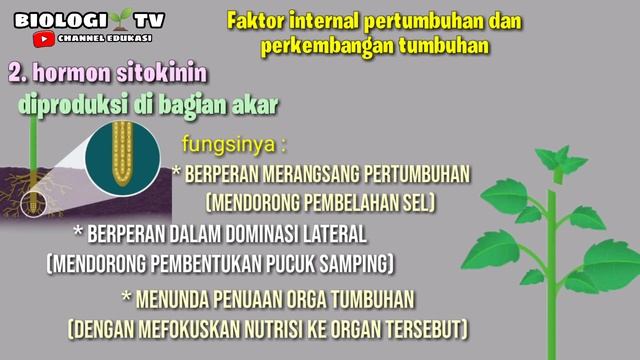 faktor pertumbuhan dan perkembangan tumbuhan - gen dan hormon tumbuhan biologi bab sama materi смотреть онлайн