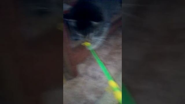 Прикольный кадр от меня и от Васи смотреть онлайн