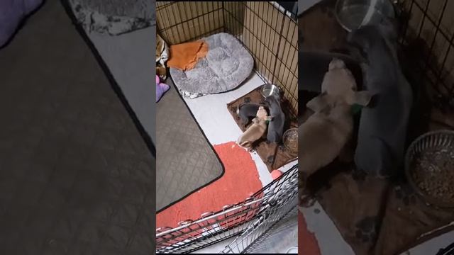 друк на друга