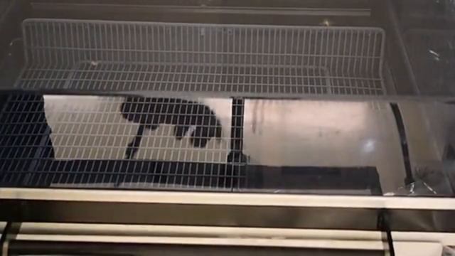 Аппарат термоусадочный BSF-4030 термоупаковщик для плёночной упаковки товара смотреть онлайн