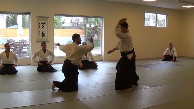 Stay With The Flow Part 8 , Vassilis Nykteris 5th Dan Aikikai