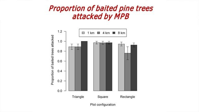 N. Erbilgin: Dev. of Monitoring Tools to Detect MPB at Low Densities at the Edge of Beetle Expansio смотреть онлайн