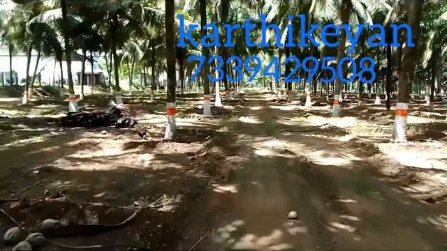 1acre 53 cent coconut land for sale kinathukadavu near смотреть онлайн