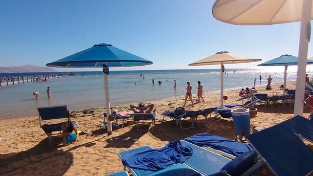 Отель Pickalbatros Palace Resort, 26 декабря 2024 . Отель заполнен на 90% . Отель 10 из 10 смотреть онлайн